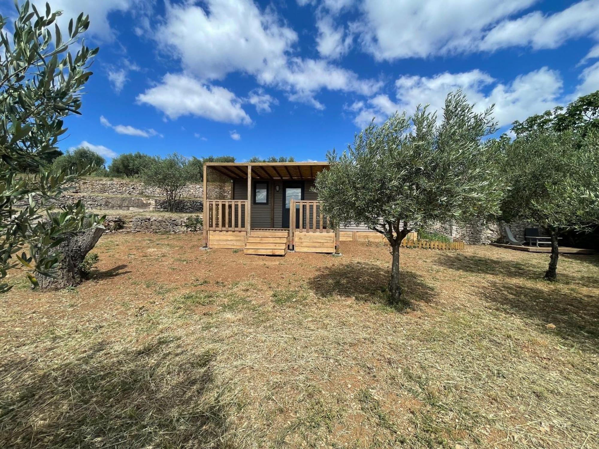 Mobil-Home En Pleine Nature A 3 Mins Du Lac Du Salagou Avec Vue Panoramique Lacoste  ภายนอก รูปภาพ